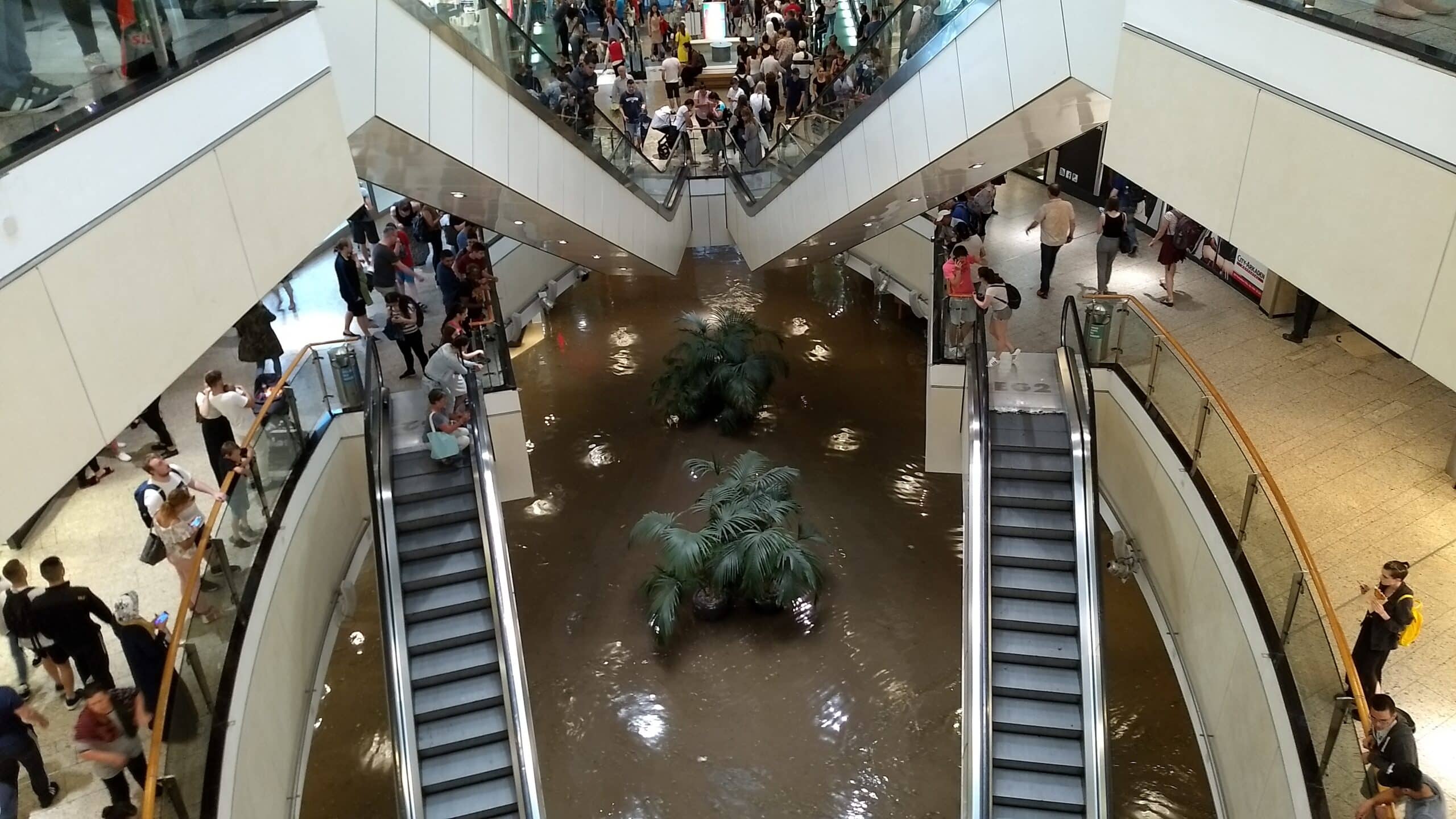 Aktueller KW-Aufsatz „Starkregenvorsorge in Wuppertal“
