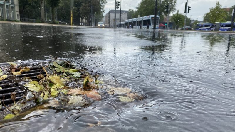 12. Kommunaler Erfahrungsaustausch am 27.04.2023