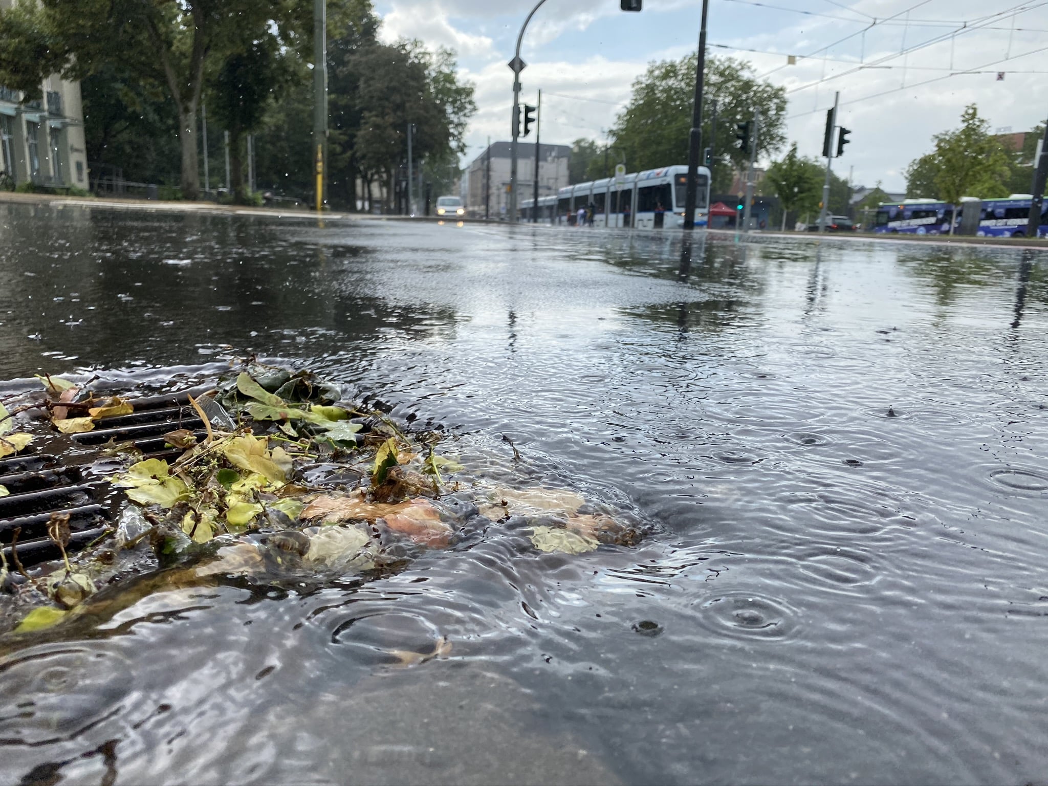 Save the Date – 13. Kommunaler Erfahrungsaustausch Regenwassermanagement im Jahr 2024