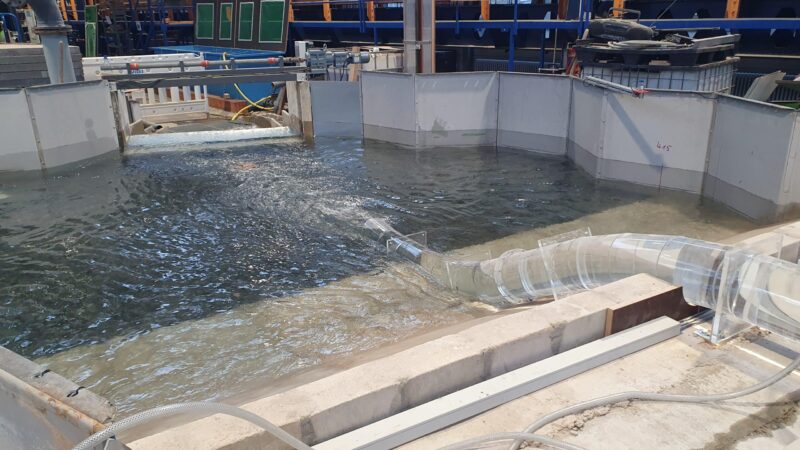 Reserveraum Eich-Guntersblum (südlich von Mainz)