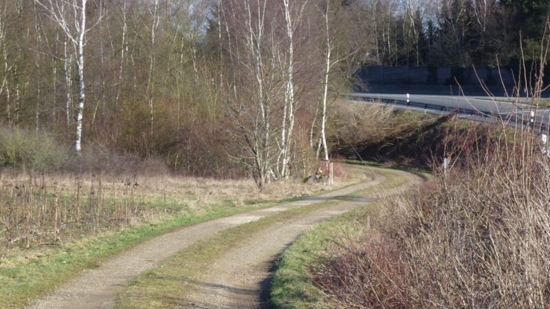 Genehmigungsplanung „Trassenplanung Regionales Verbundsystem Westeifel“ fertiggestellt