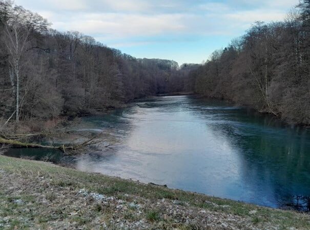 Sanierung der Hochwasserrückhaltebecken Ittertal und Viehbach
