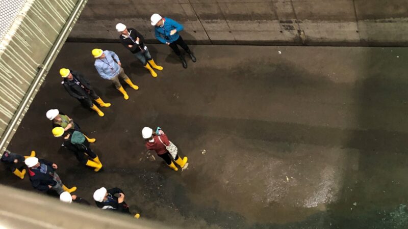 Beiträge zur Aqua Urbanica 2024 jetzt online