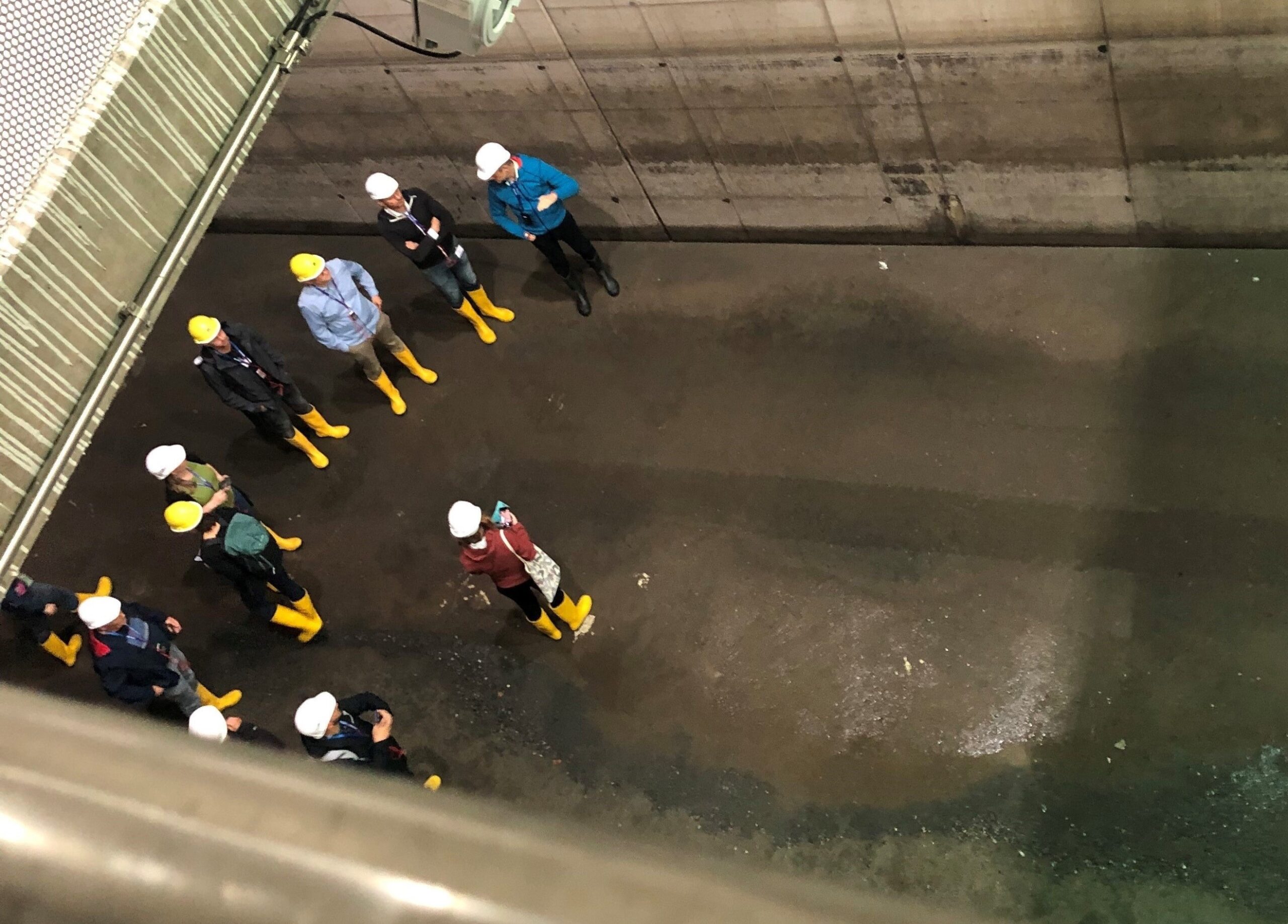 Beiträge zur Aqua Urbanica 2024 jetzt online