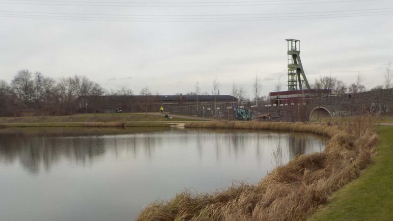 2,7 Mio. EUR Förderung für Regenwasserbewirtschaftung im Quartier ESSEN 51