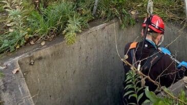 Sanierung eines RKB in Herten nach den Anforderungen von DWA-A 102