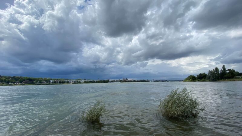 Klimafolgenanpassungskonzept Mainz gestartet