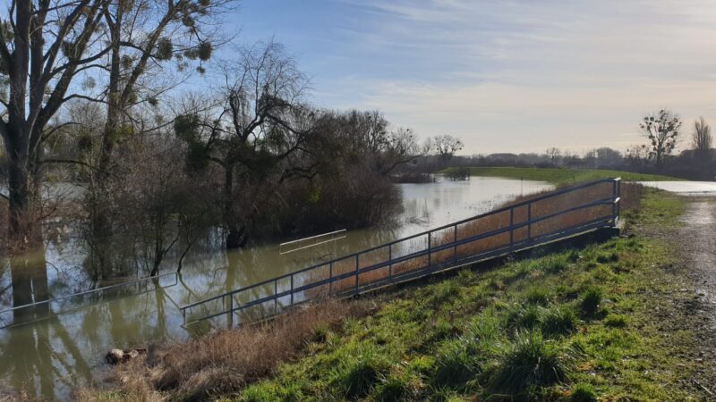 Dialog für Reserveraum am Rhein abgeschlossen
