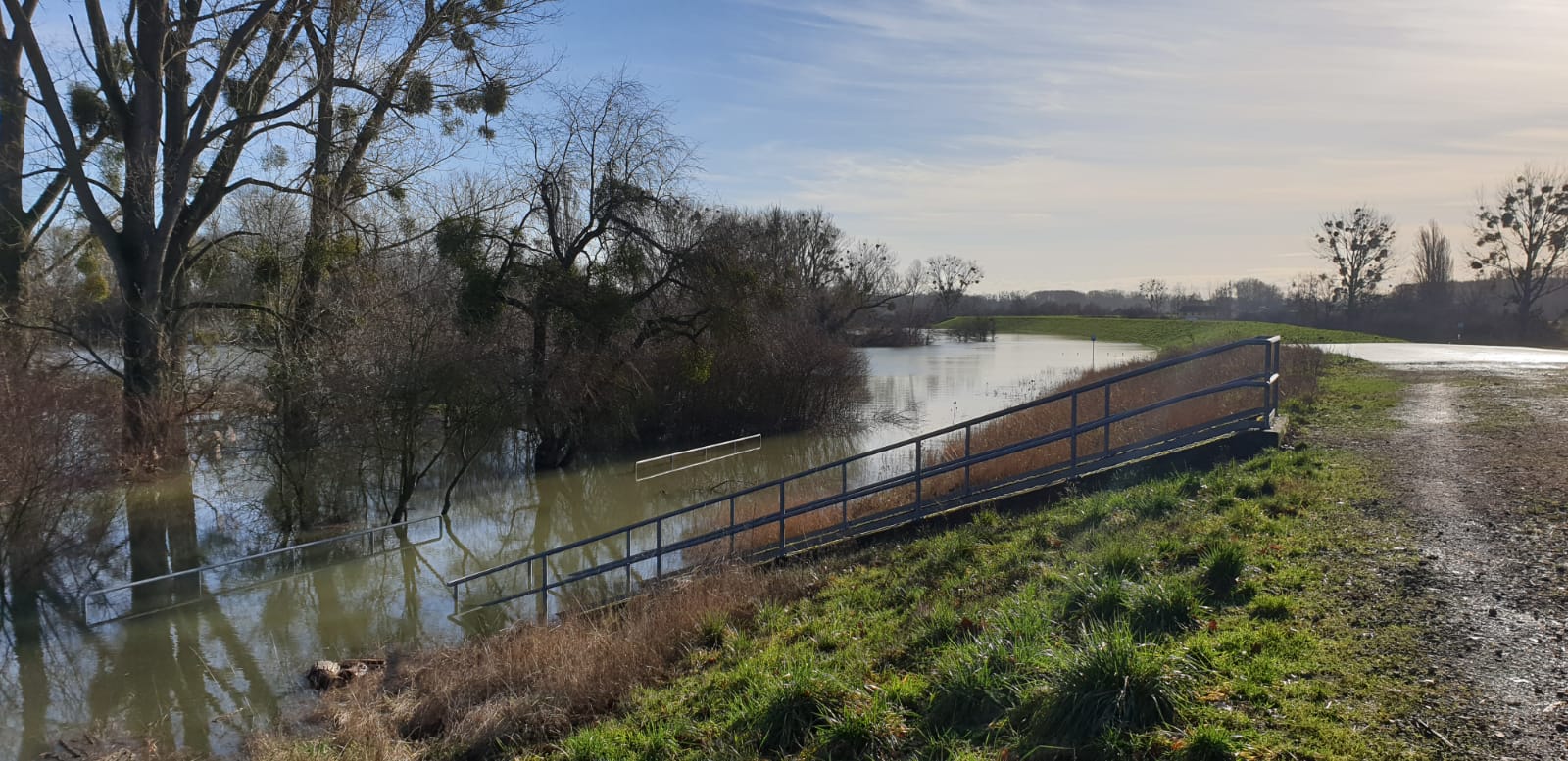 Dialog für Reserveraum am Rhein abgeschlossen