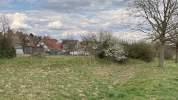 Dr. Pecher GmbH unterstützt Starkregenvorsorge in Mainz-Drais