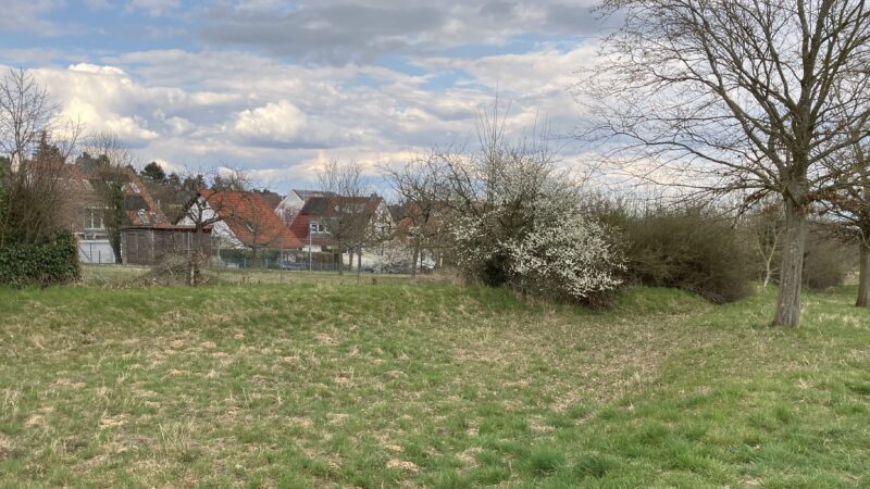 Dr. Pecher GmbH unterstützt Starkregenvorsorge in Mainz-Drais