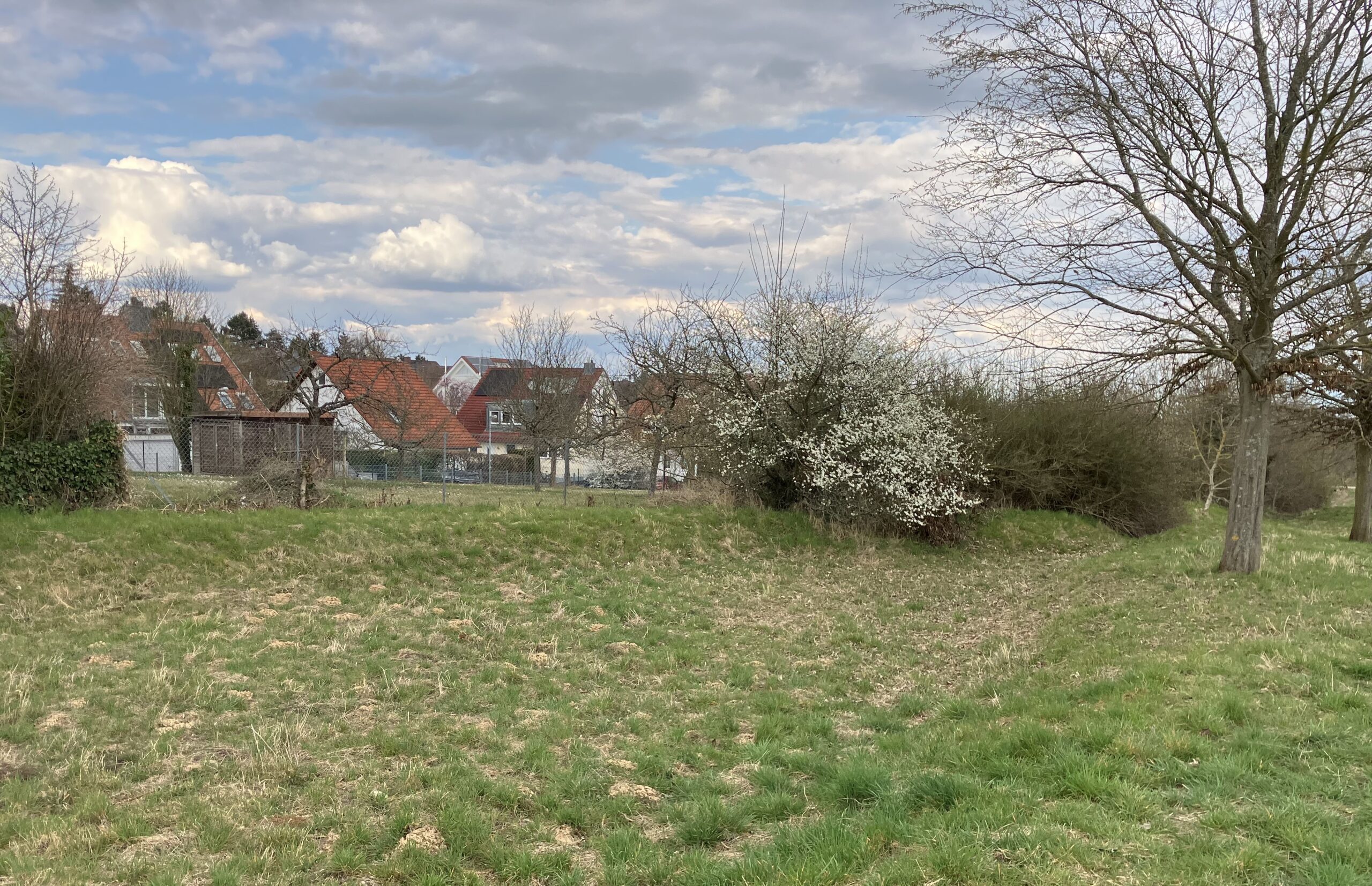 Dr. Pecher GmbH unterstützt Starkregenvorsorge in Mainz-Drais Dr. Pecher GmbH unterstützt Starkregenvorsorge in Mainz-Drais