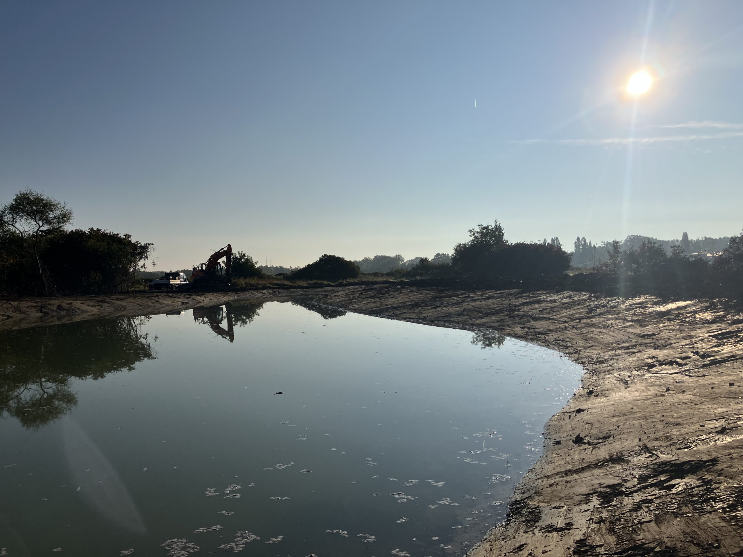 Neue Lebensräume für bedrohte Amphibien in Worms Neue Lebensräume für bedrohte Amphibien in Worms