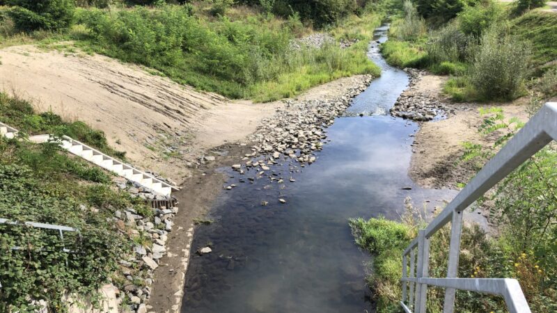 Renaturierung der Boye abgeschlossen