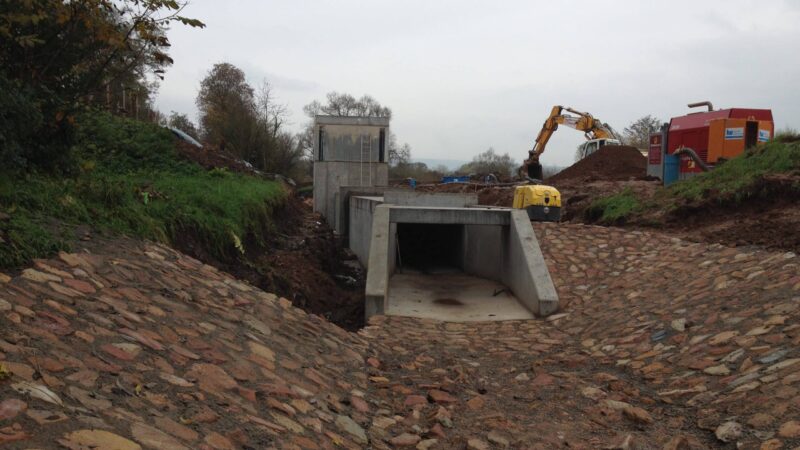 Deichrückverlegung Bretzenheim und Deichertüchtigung Langenlonsheim fertiggestellt