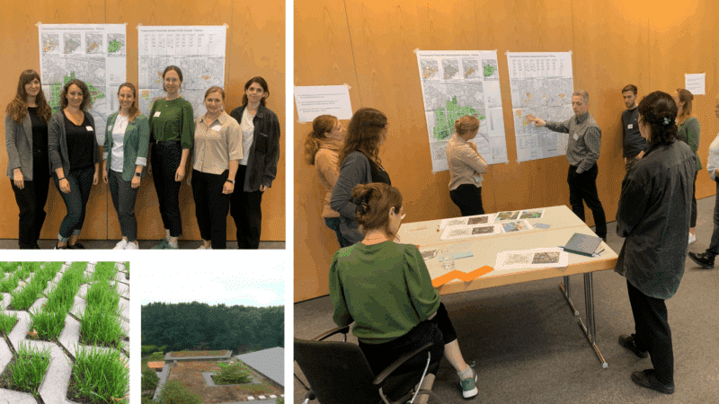 KRiS: Betrachtungsräume ermitteln und Maßnahmen planen