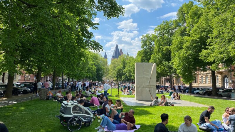Örtliches Hochwasser- und Starkregenvorsorgekonzept für die Stadt Mainz