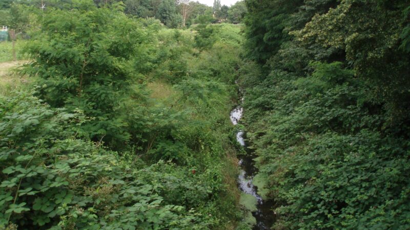 Alte Emscher in Duisburg ist nun offiziell Fischereigewässer