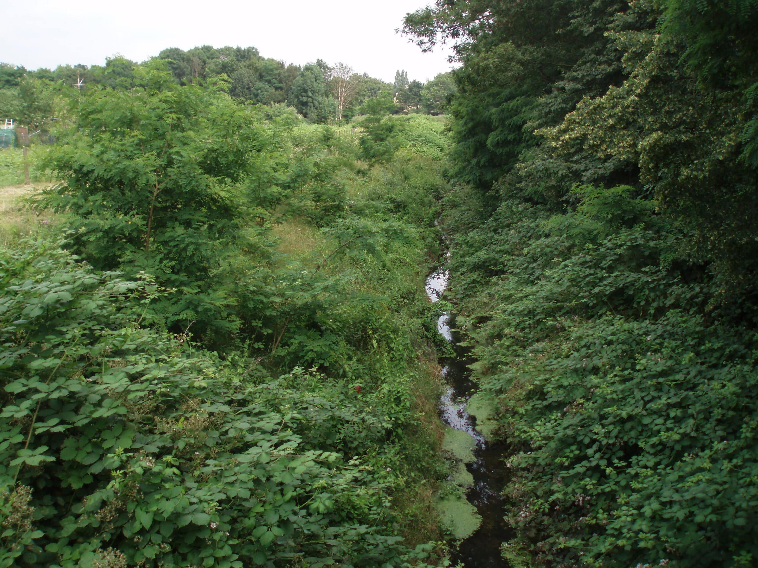 Alte Emscher in Duisburg ist nun offiziell Fischereigewässer