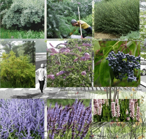 Screenshot 2025-10-23 145452