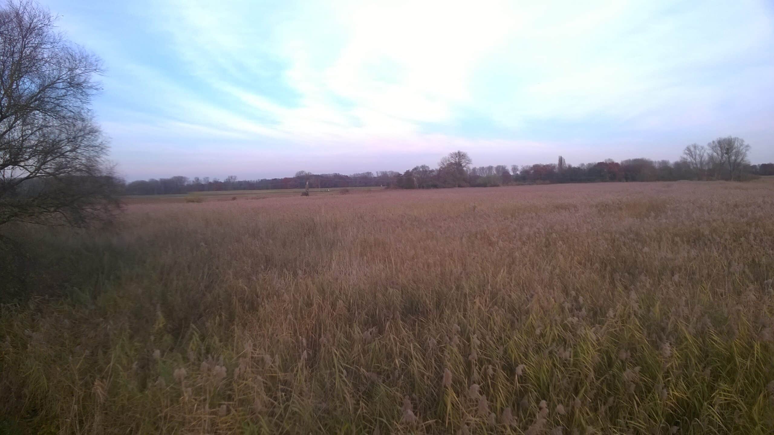 Reserveraum für Extremhochwasser Eich-Guntersblum am Rhein