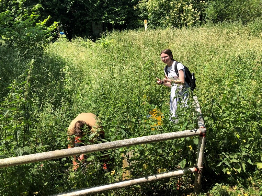 Berufsfelderkundung bei der Dr. Pecher GmbH Berufsfelderkundung bei der Dr. Pecher GmbH