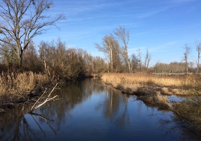 Reserveraum für Extremhochwasser am Rhein